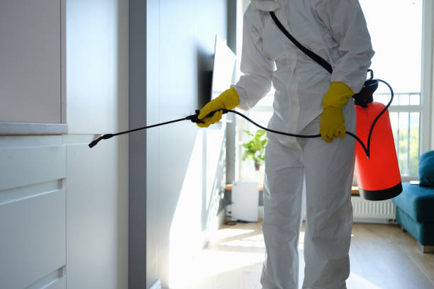 Mold Removal Process in Woodbury, MN